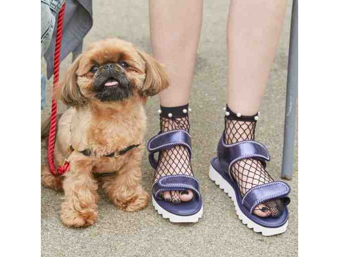 $150 Twoobs Shoes Gift Certificate