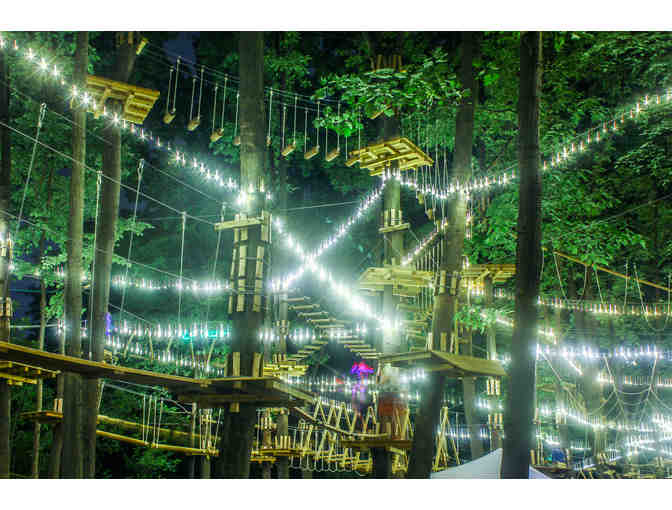 Aerial Adventure Park - 4 Ticket Vouchers