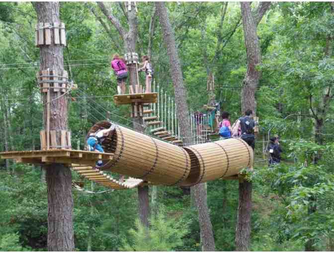 Aerial Adventure Park - 4 Ticket Vouchers