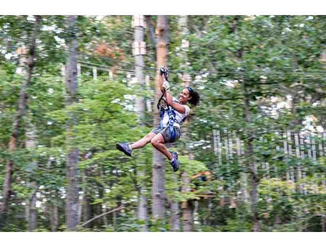 Aerial Adventure Park - 4 Ticket Vouchers