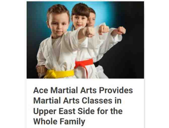 Ace Martial Arts- Taekwondo 1