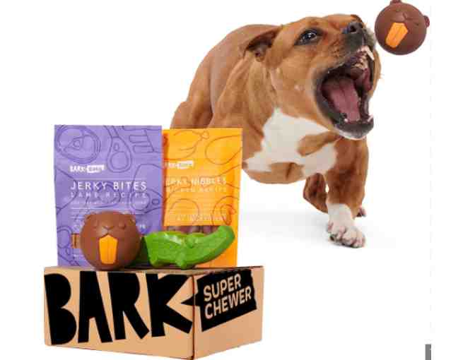 Barkbox (for dogs!)