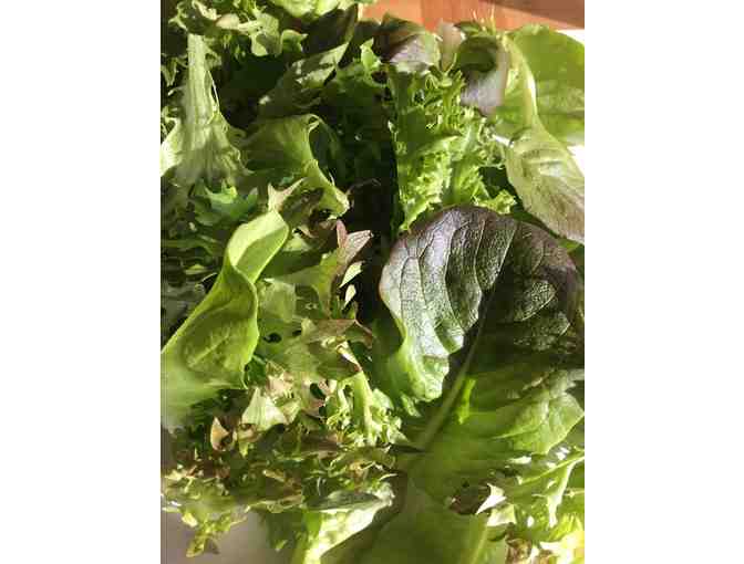 Fromer Market Gardens - Market bag fill up