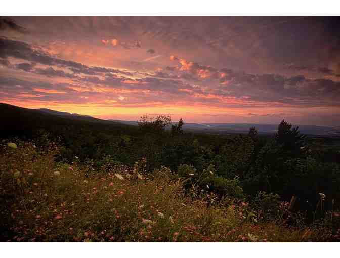 Francis Driscoll Photography-$75 Gift Certificate