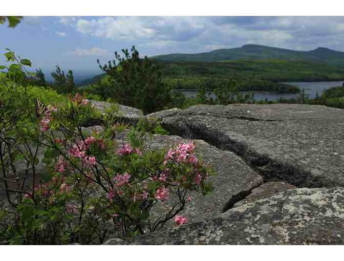 Francis Driscoll Photography-$75 Gift Certificate