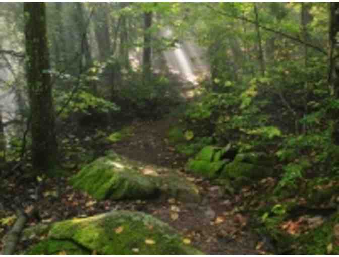 Francis Driscoll Photography-$75 Gift Certificate