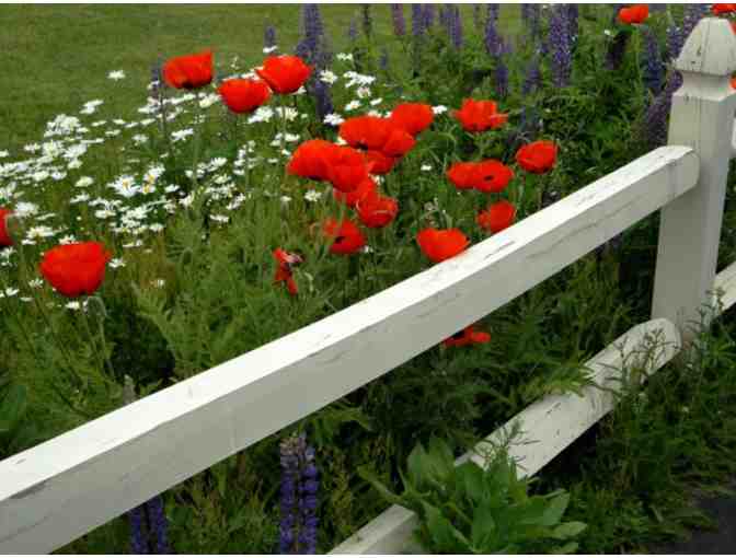 Albergo Allegria Breakfast for Two!