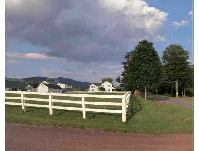 8'x10' 'Summer' photo donated by Donna Cavanaugh