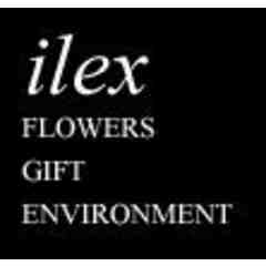 Ilex