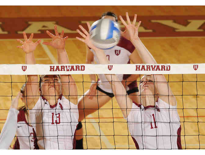 Harvard Athletics' Official Photographer for a Day