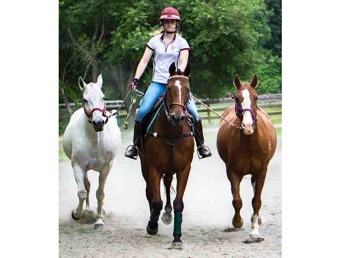A Day at the Harvard Polo & Equestrian Center