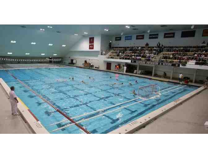 Water Polo Experience with Head Coach Ted Minnis