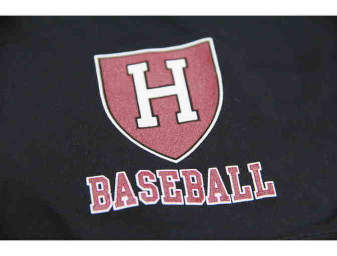 Harvard Baseball Nike Shorts