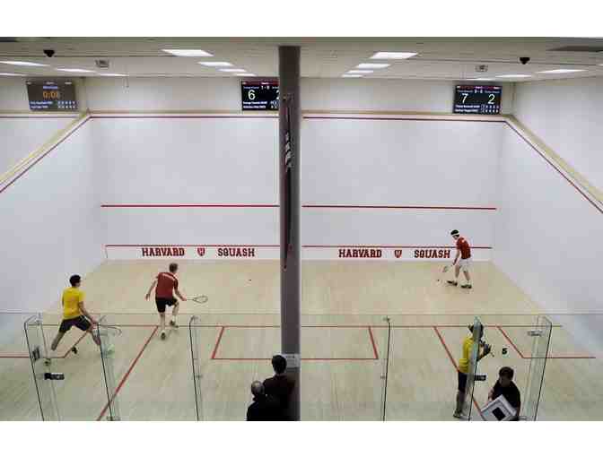 One Private Squash Lesson -- including a new racquet, goggles and ball!