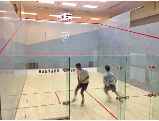 One Private Squash Lesson -- including a new racquet, goggles and ball!