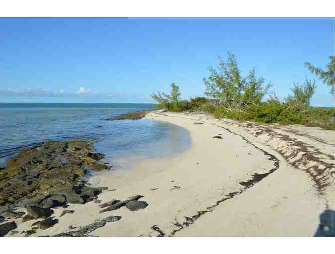 Spend a week on a beautiful and deserted tropical island!
