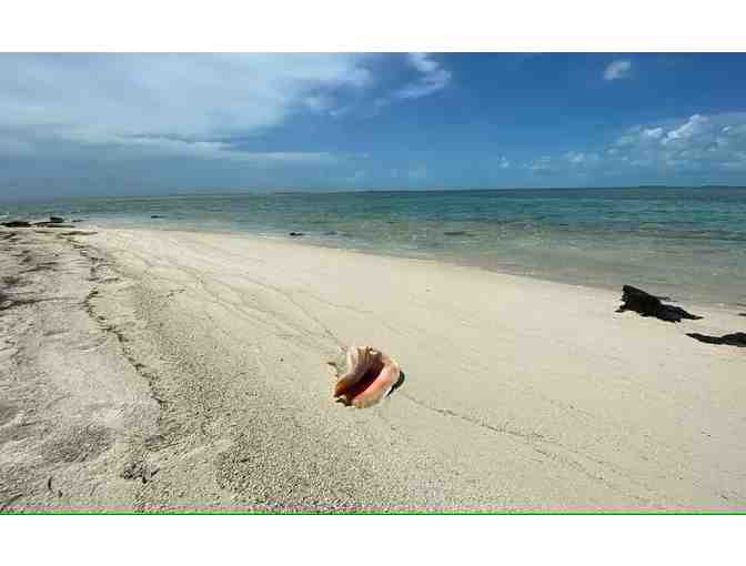 Spend a week on a beautiful and deserted tropical island!