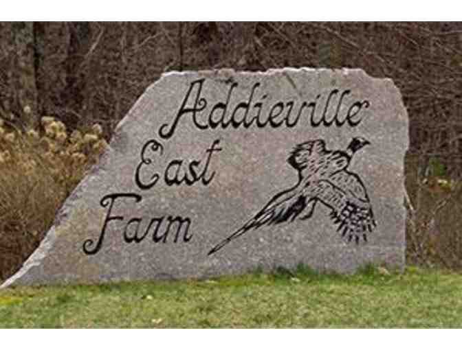 Field Hunt for Two (2) at Addieville East Farm