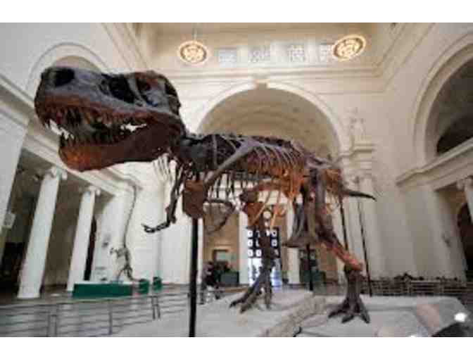 Four Tickets to Chicago Field Museum
