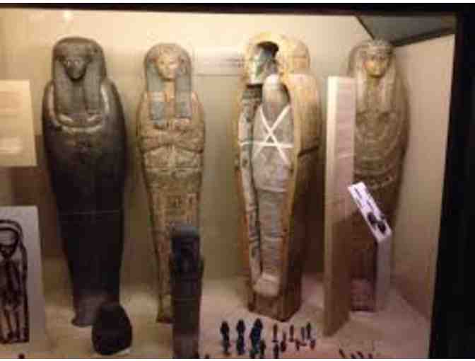 Four Tickets to Chicago Field Museum