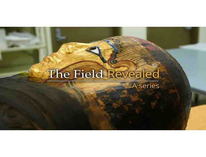 Four Tickets to Chicago Field Museum