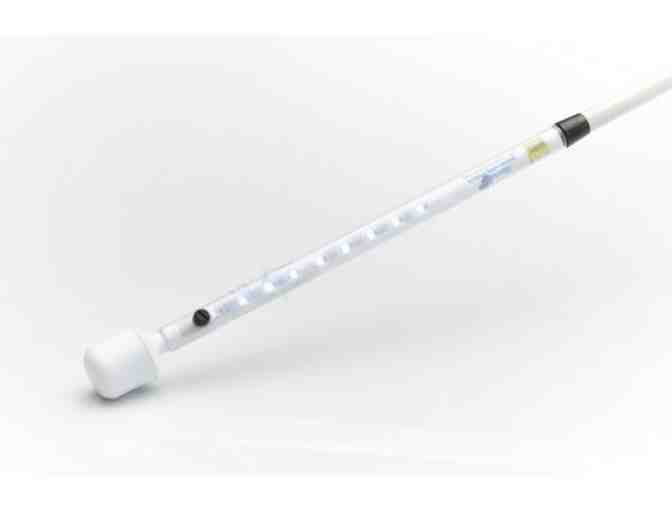 Gizahand LED Mobility Cane