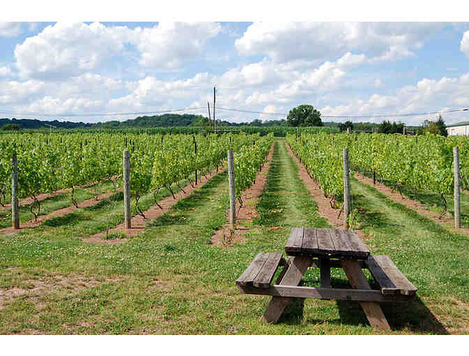 Wine Tasting for 10 at Hopewell Valley Vineyards
