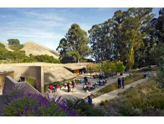 California Shakespeare Theater: Two (2) Tickets