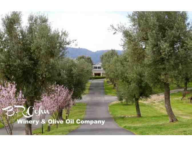 Wine and Olive Oil Tasting for 4 people