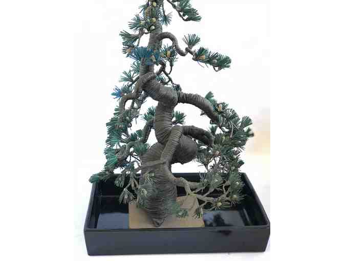 Vintage-like Beautiful Bonsai Pine Tree and Vase Set