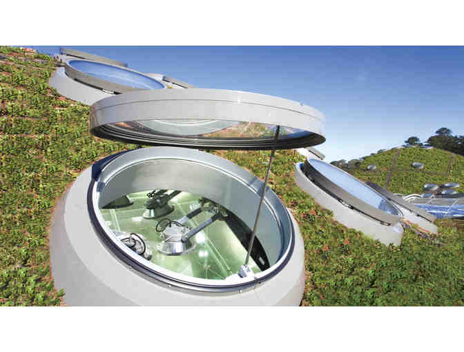 California Academy of Sciences: Four (4) General Admission Tickets