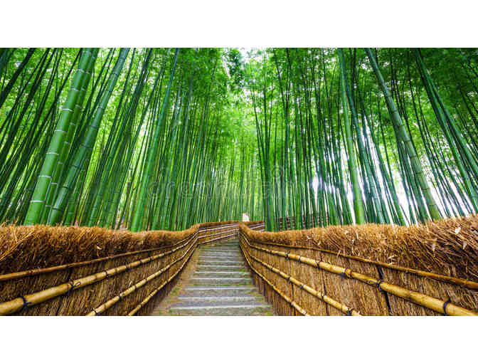 *LIVE ITEM*  DISCOVER JAPAN! An Exclusive Travel Package for FOUR!