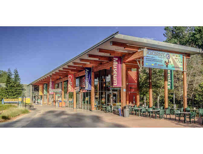 Turtle Bay Exploration Park: 2 Admission Passes