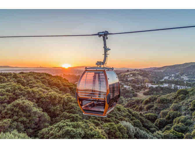 Oakland Zoo: Family Day Pass