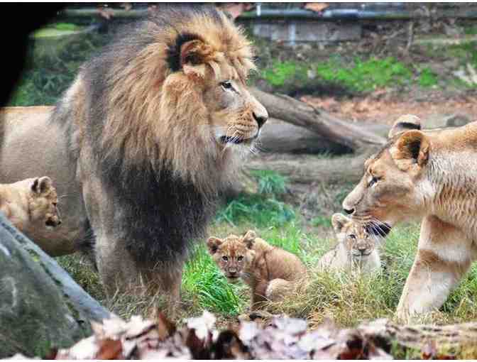 Sacramento Zoo: Admission for Four Family Pass