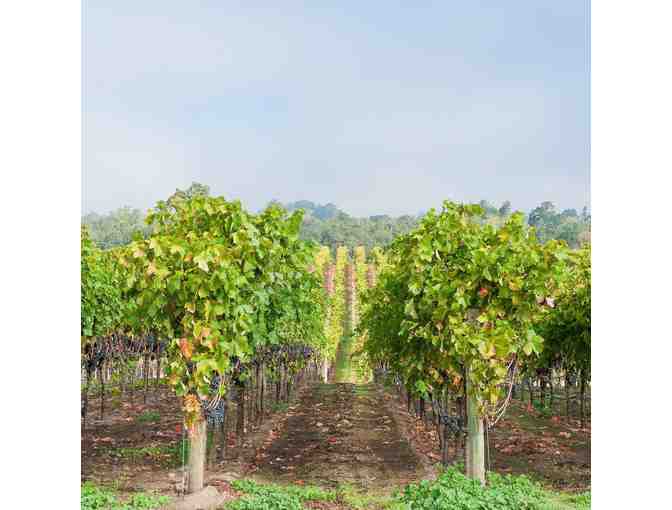 Balletto Vineyards: Two Bottles of Sauvignon Blanc and a Complimentary Tasting Tour for 4