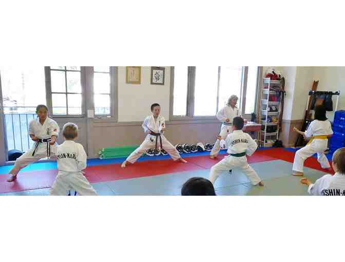 Enshin Karate SF Branch - 12 Free Classes