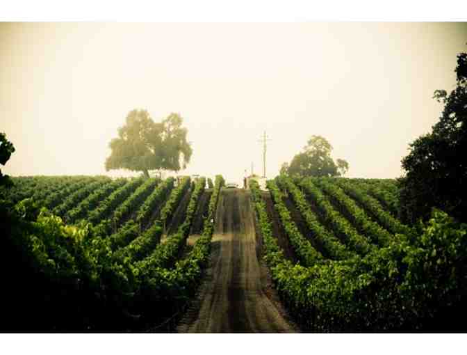 Balletto Vineyards - Tasting for 4 and 2 Bottles of Wine