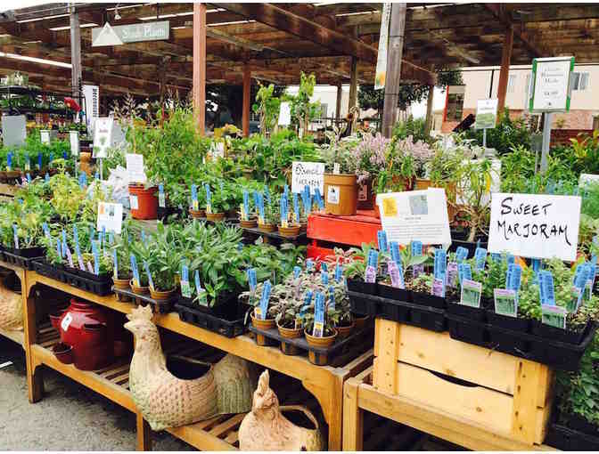 Sloat Garden Center - $25 Gift Card