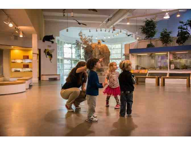 Lindsay Wildlife Experience - Four Guest Passes