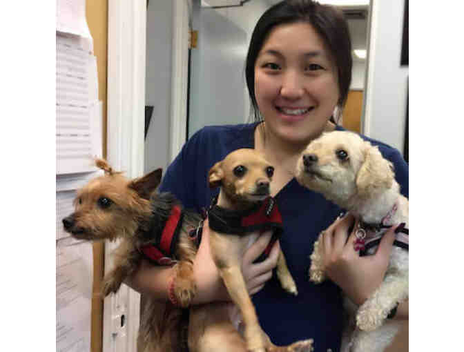 Irving Pet Hospital - $100 Gift Certificate