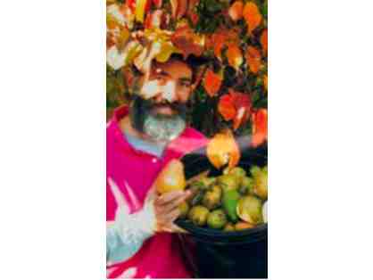 Elmore Roots Nursery Instant Fruit Grove Gift Certificate