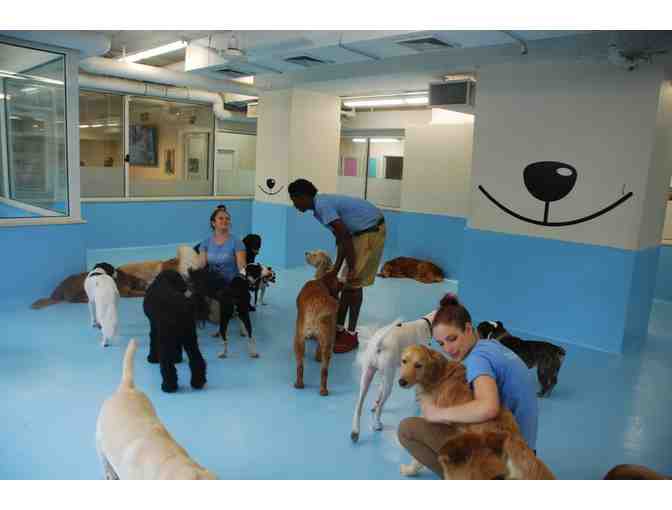 Biscuits & Bath-1 complimentary day of daycare, 1 bath,  & 1 complimentary gold membership