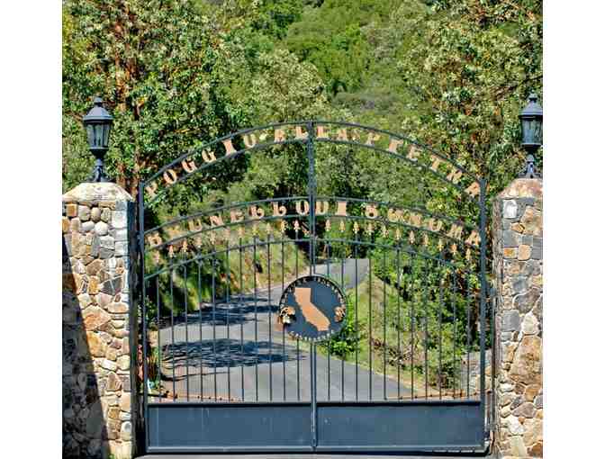 Private tour and tasting for four at Petroni Vineyards