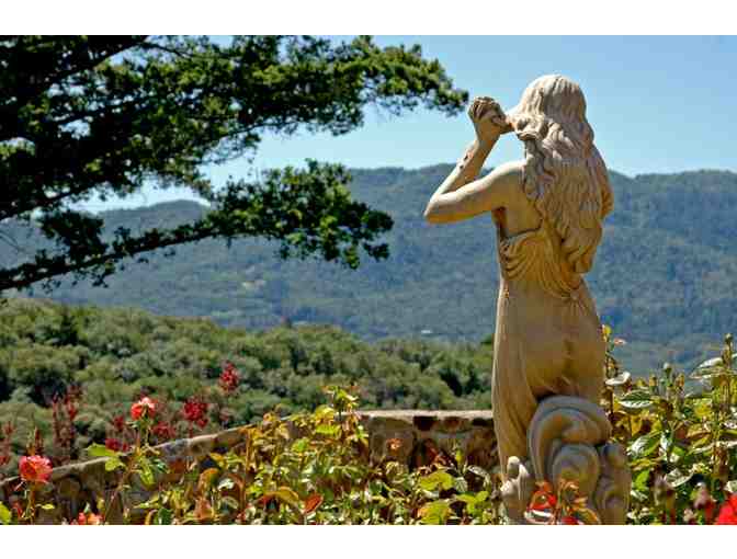 Private tour and tasting for four at Petroni Vineyards