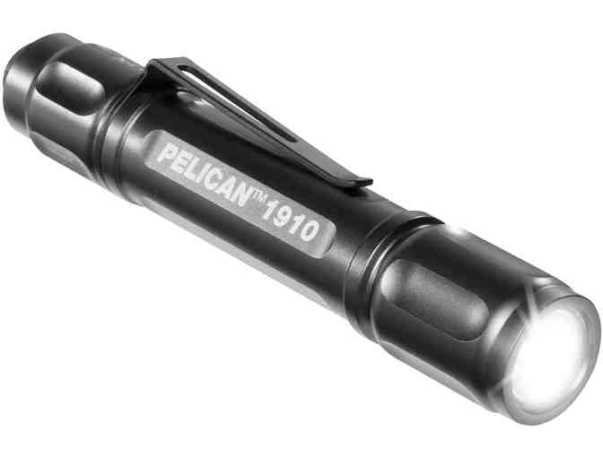 One Pelican Marine Case for iPhone 7 & One 1910 LED Flashlight