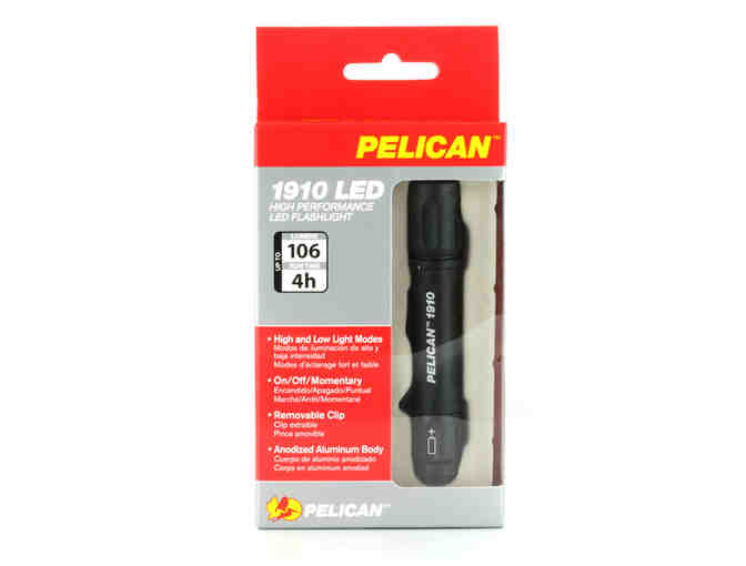 One Pelican Marine Case for iPhone 7 & One 1910 LED Flashlight