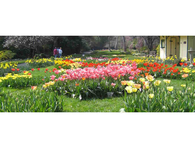 One Family Day Pass and 4 Train Tickets for Descanso Gardens