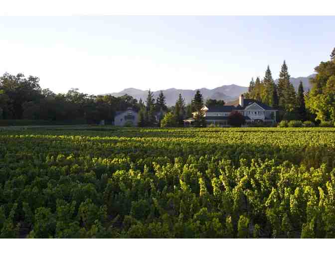 Duckhorn Vineyard Portfolio Elevated Tasting Pass for Two