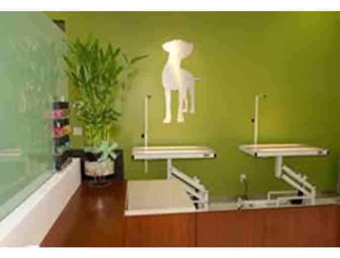 Pamper your pooch with a Deluxe Spa Treatment from Healthy Spot